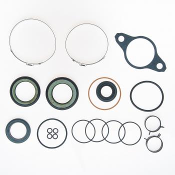 Edelmann 8946 Rack and Pinion Seal Kit product image 1 of 1