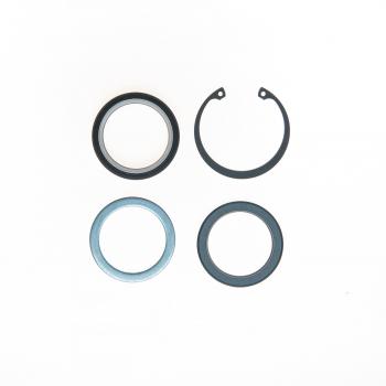 Edelmann 9068 Steering Gear Pitman Shaft Seal Kit product image 1 of 1