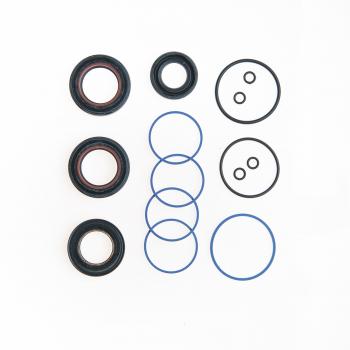 Edelmann 9091 Rack and Pinion Seal Kit product image 1 of 1