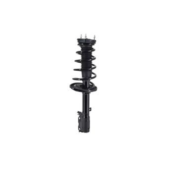 FCS Automotive 1331607R - Suspension Strut and Coil Spring Assembly FCS Automotive 1331607R Suspension Strut and Coil Spring Assembly product image 3 of 5