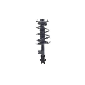 FCS Automotive 1333372L Suspension Strut and Coil Spring Assembly product image 1 of 1