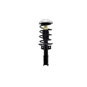 FCS Automotive 1333924 Suspension Strut and Coil Spring Assembly product image 1 of 1