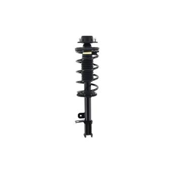 FCS Automotive 1335604R - Suspension Strut and Coil Spring Assembly FCS Automotive 1335604R Suspension Strut and Coil Spring Assembly product image 1 of 1
