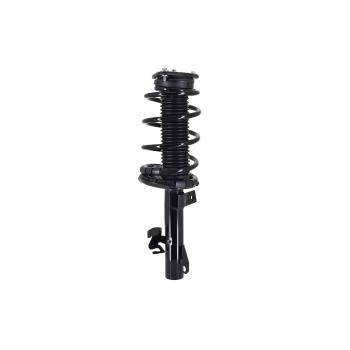FCS Automotive 1336311R Suspension Strut and Coil Spring Assembly product image 3 of 5