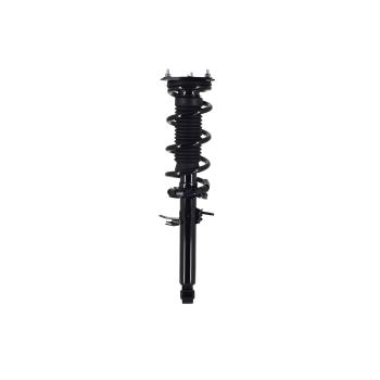 FCS Automotive 1355130R - Suspension Strut and Coil Spring Assembly FCS Automotive 1355130R Suspension Strut and Coil Spring Assembly product image 1 of 5