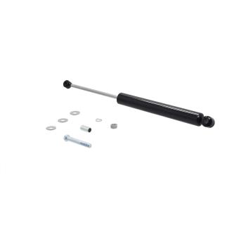 FCS Automotive 226339 - Steering Damper FCS Automotive 226339 Steering Damper product image 1 of 2