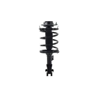 FCS Automotive 2331659L - Suspension Strut and Coil Spring Assembly FCS Automotive 2331659L Suspension Strut and Coil Spring Assembly product image 1 of 1