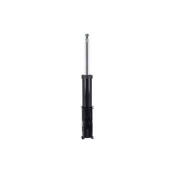 FCS Automotive 331820 Suspension Strut product image 1 of 1
