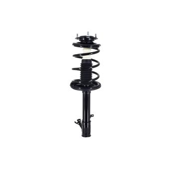 FCS Automotive 3331623R - Suspension Strut and Coil Spring Assembly FCS Automotive 3331623R Suspension Strut and Coil Spring Assembly product image 3 of 5