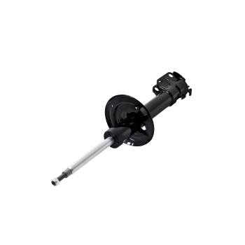 FCS Automotive 333981R - Suspension Strut FCS Automotive 333981R Suspension Strut product image 3 of 5