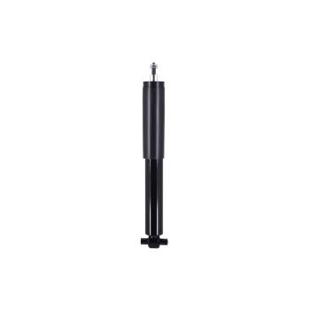 FCS Automotive DT341951 - Shock Absorber FCS Automotive DT341951 Shock Absorber product image 1 of 1