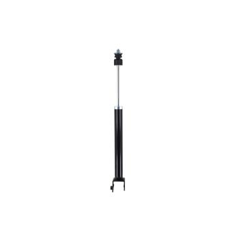 FCS Automotive DT346852 Shock Absorber product image 1 of 1