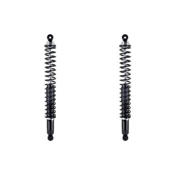 FCS Automotive SC00005 Shock Absorber and Coil Spring Assembly product image 1 of 4