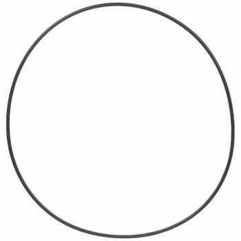 Fel-Pro 35418 Engine Water Pump O-Ring product image 1 of 1