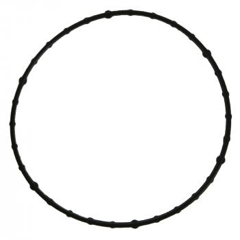 Fel-Pro 61699 Fuel Injection Throttle Body Mounting Gasket product image 1 of 1
