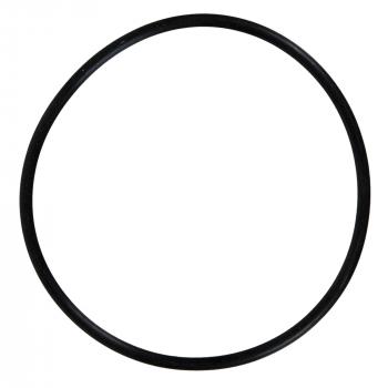 Fel-Pro Fuel Injection Plenum O-Ring product image