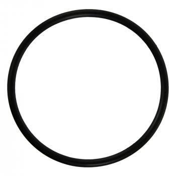 Fel-Pro Fuel Injection Plenum Seal product image
