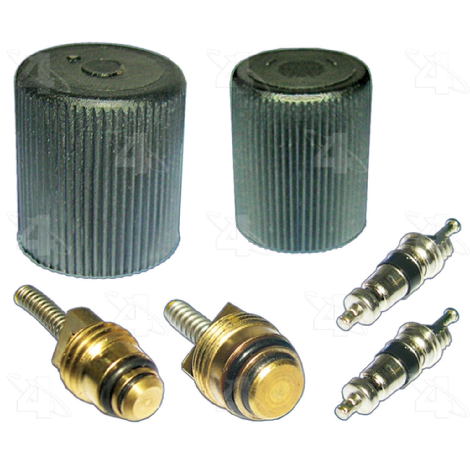 Four Seasons 26779 - A/C System Valve Core and Cap Kit Four Seasons 26779 A/C System Valve Core and Cap Kit product image 1 of 2