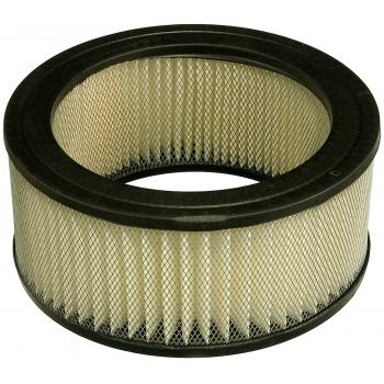 Fram CA101 Air Filter product image 2 of 4