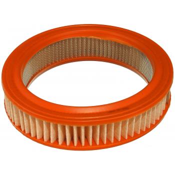 Fram CA3784 - Air Filter Fram CA3784 Air Filter product image 1 of 1