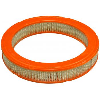 Fram CA3930 Air Filter product image 2 of 3