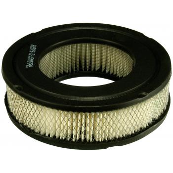 Fram CA4296 - Air Filter Fram CA4296 Air Filter product image 1 of 1