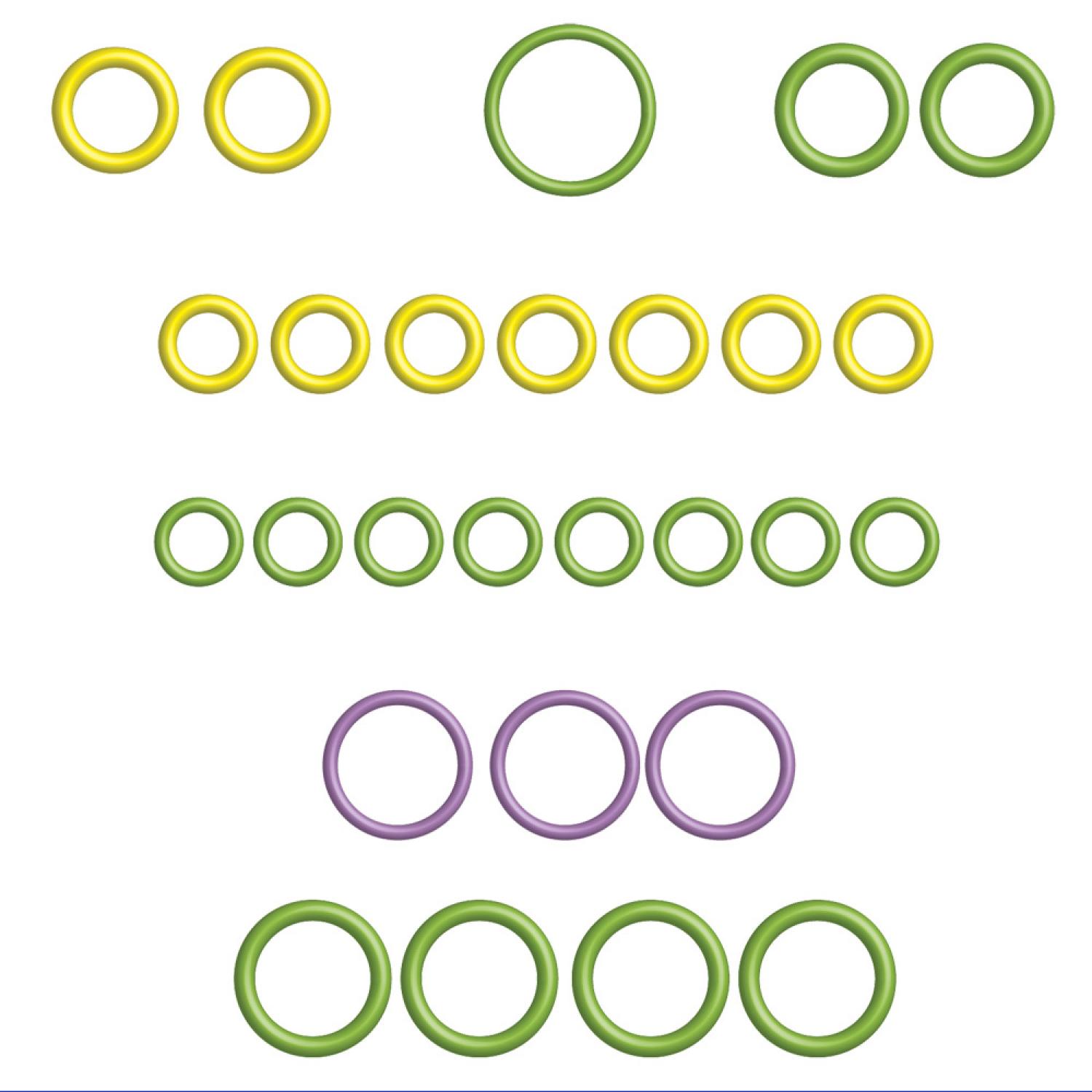Global Parts Distributors 1321421 A/C System O-Ring and Gasket Kit product image 1 of 1