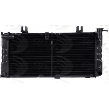 Global Parts Distributors 728 Radiator product image 1 of 1