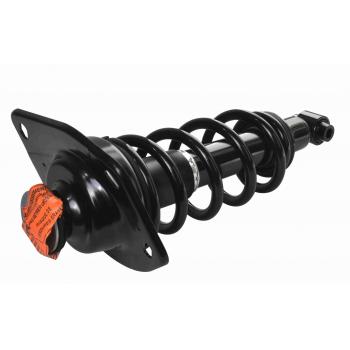 GSP 810071 Suspension Strut and Coil Spring Assembly product image 1 of 3