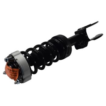 GSP 810407 Suspension Strut and Coil Spring Assembly product image 1 of 1
