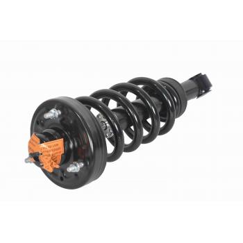 GSP 811360 Suspension Strut and Coil Spring Assembly product image 1 of 3