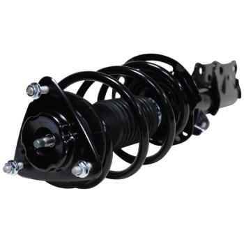 GSP 813000 Suspension Strut and Coil Spring Assembly product image 1 of 3