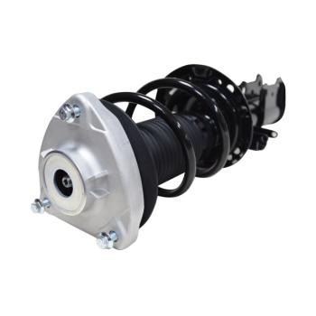 GSP 813017 Suspension Strut and Coil Spring Assembly product image 1 of 3