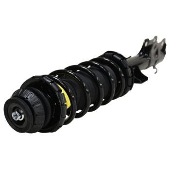 GSP 813062 Suspension Strut and Coil Spring Assembly product image 1 of 3