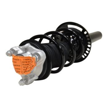 GSP 813079 Suspension Strut and Coil Spring Assembly product image 1 of 3