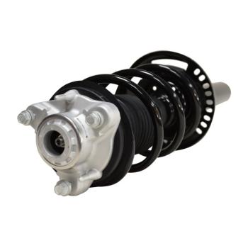 GSP 813080 Suspension Strut and Coil Spring Assembly product image 1 of 3