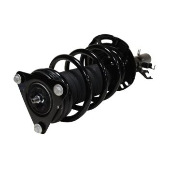 GSP 813149 Suspension Strut and Coil Spring Assembly product image 1 of 3