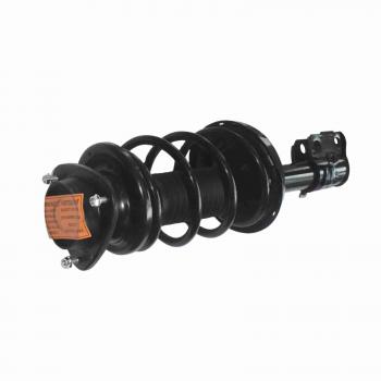 GSP 866008 Suspension Strut and Coil Spring Assembly product image 1 of 3