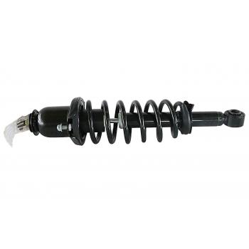 GSP 869041 Suspension Strut and Coil Spring Assembly product image 1 of 5