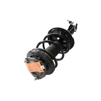 GSP 882481 Suspension Strut and Coil Spring Assembly product image 1 of 3