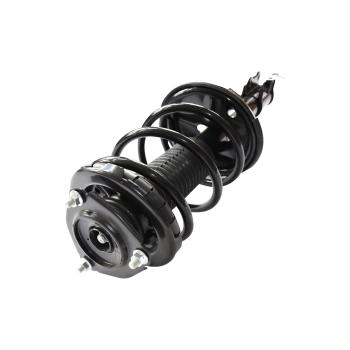 GSP 882482 Suspension Strut and Coil Spring Assembly product image 1 of 3