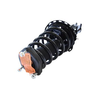 GSP 882581 Suspension Strut and Coil Spring Assembly product image 1 of 3