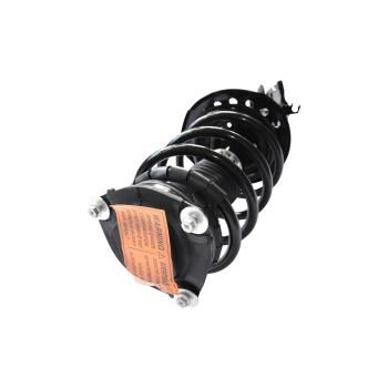 GSP 882590 Suspension Strut and Coil Spring Assembly product image 1 of 3
