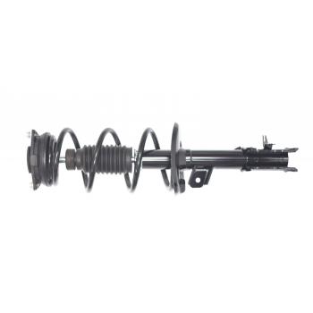 GSP 882875 Suspension Strut and Coil Spring Assembly product image 1 of 3