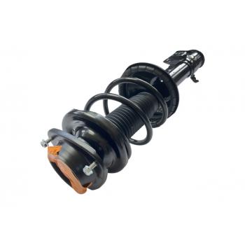 GSP 882880 Suspension Strut and Coil Spring Assembly product image 1 of 3