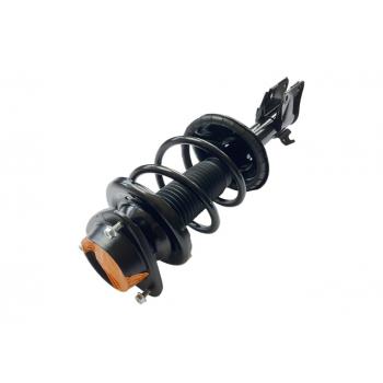 GSP 882881 Suspension Strut and Coil Spring Assembly product image 1 of 3