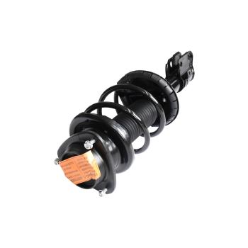 GSP 882882 Suspension Strut and Coil Spring Assembly product image 1 of 3