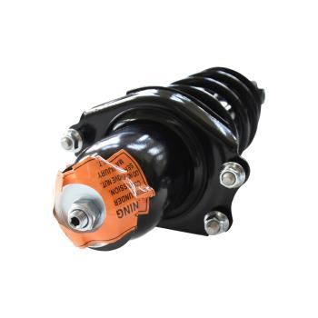 GSP 882890 Suspension Strut and Coil Spring Assembly product image 1 of 3