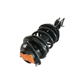 GSP 883034 Suspension Strut and Coil Spring Assembly product image 1 of 3
