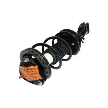 GSP 883176 Suspension Strut and Coil Spring Assembly product image 1 of 3
